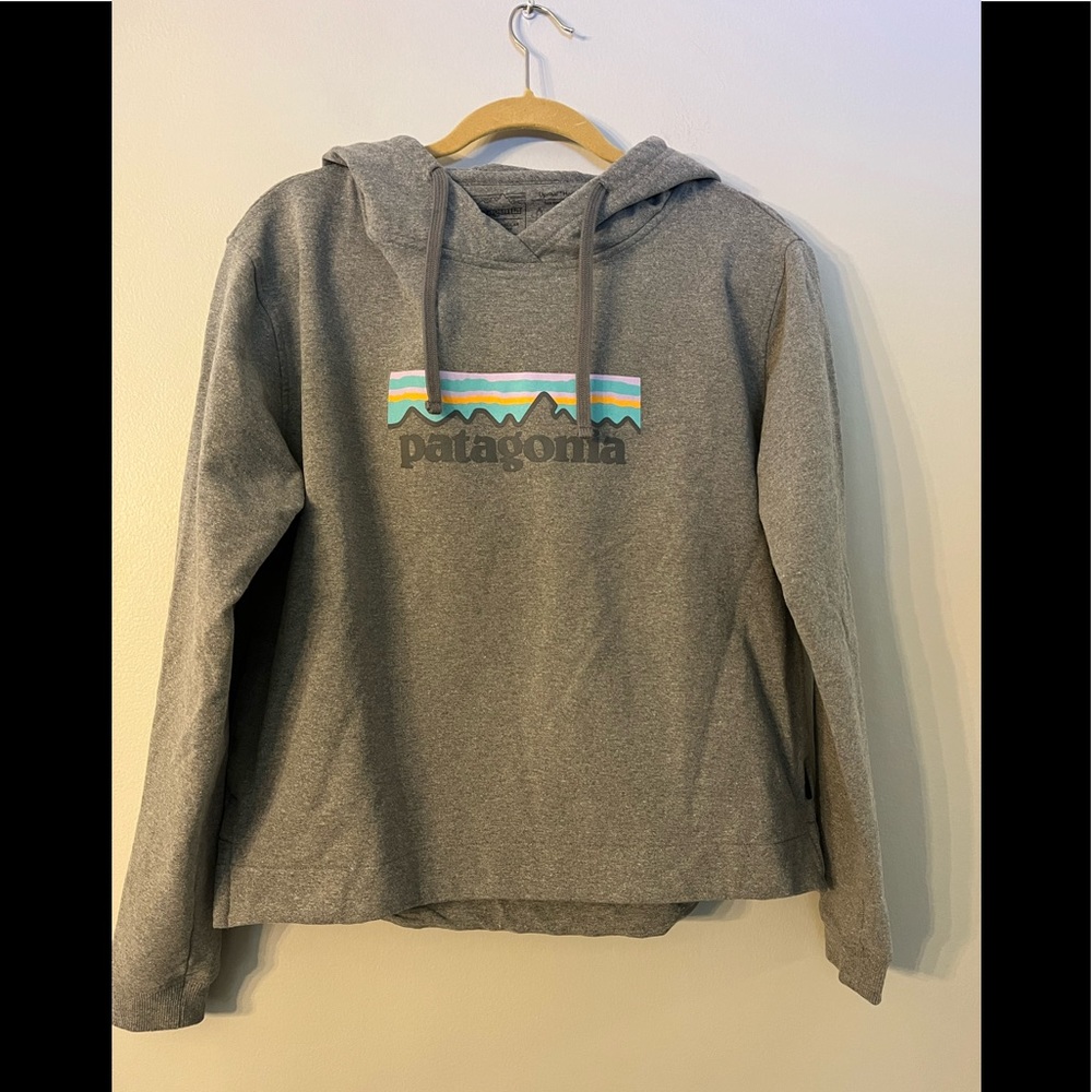 Patagonia hoodie